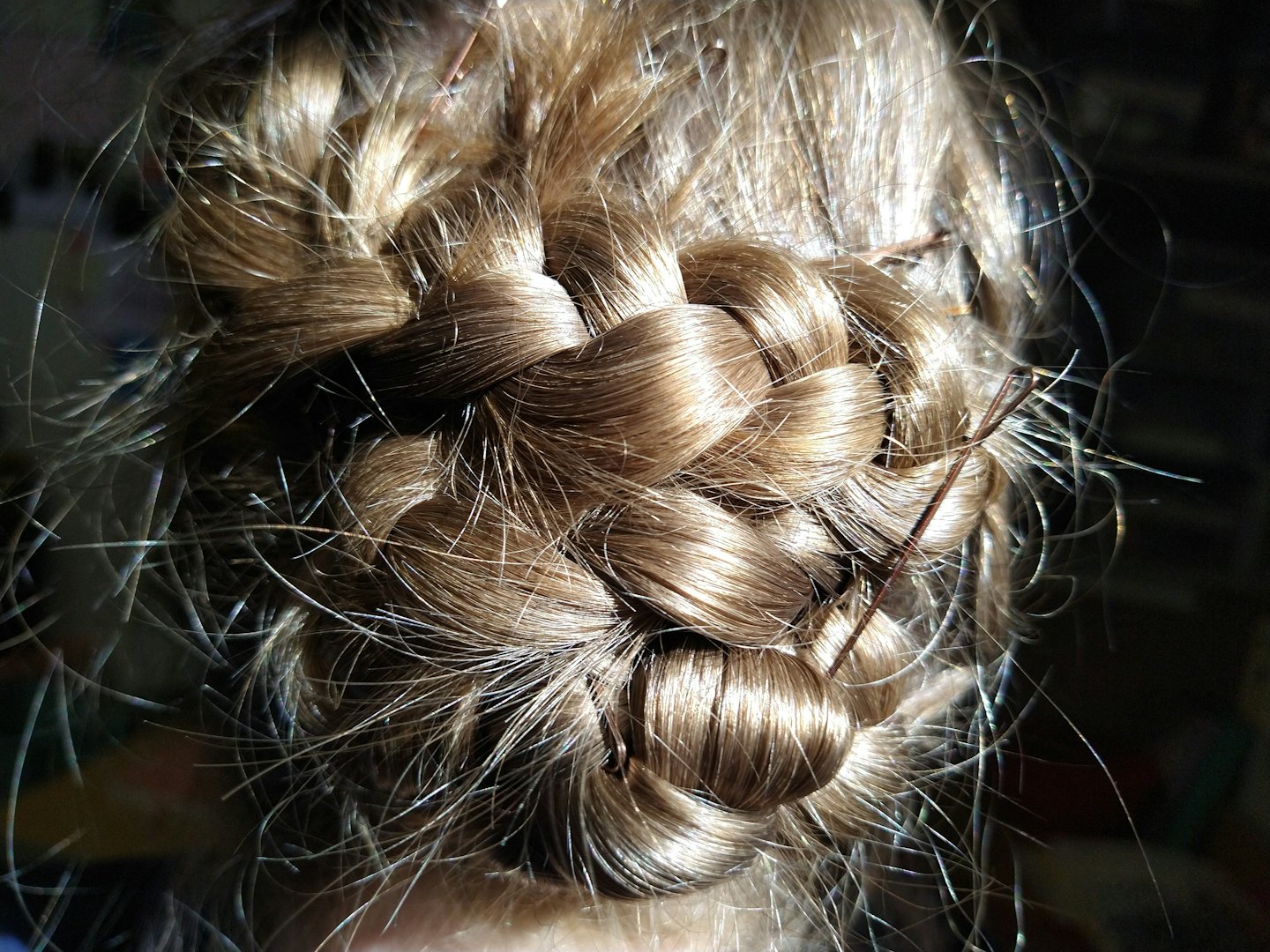 Intricately styled brown hair braided with loose flyaway strands.